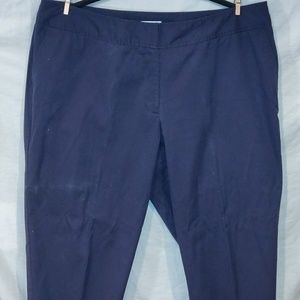 Fashion Bug 22W Blue Pants